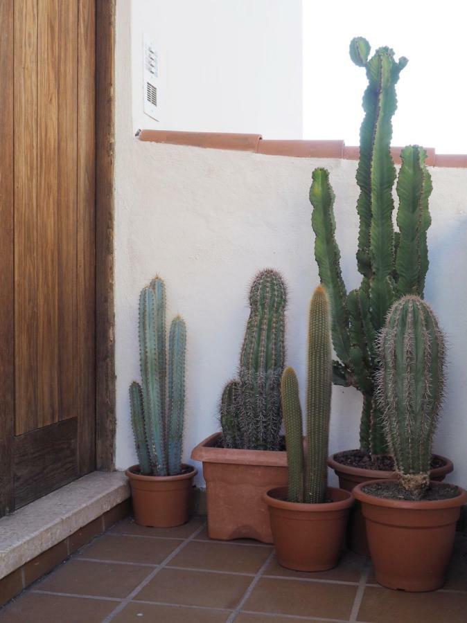 Casa Alejandro Las Vistas アロナ エクステリア 写真